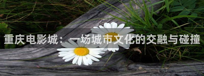 星空影院在线观看免费播放电视剧最：重庆电影城：一场城市文化的交融与碰撞