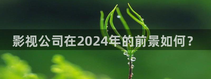 星空影院观看：影视公司在2024年的前景如何？