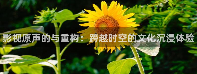 星空影院在线观看免费节目