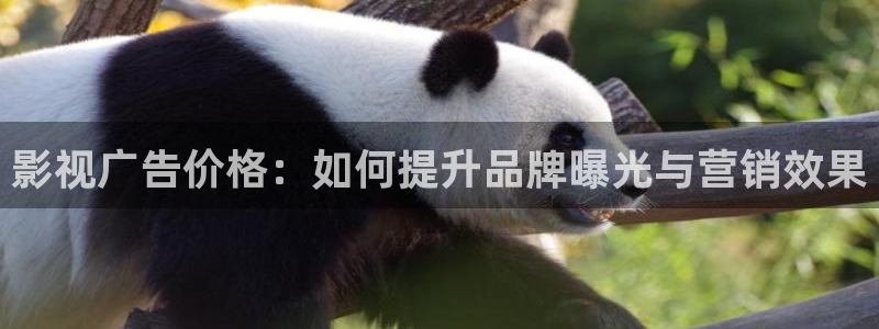 遮天在线观看免费观看星空影视全集：影视广告价格：如何提升品牌曝光与营销效果