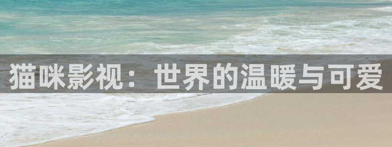 星空影院在线观看免费节目：猫咪影视：世界的温暖与可爱