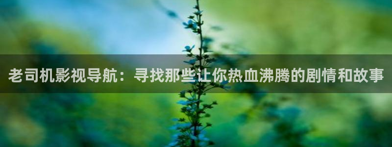星空影院在线：老司机影视导航：寻找那些让你热血沸腾的剧情和故事