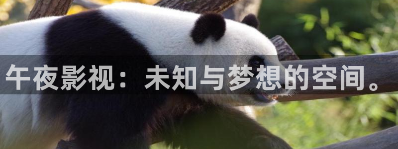 八戒星空影院：午夜影视：未知与梦想的空间。