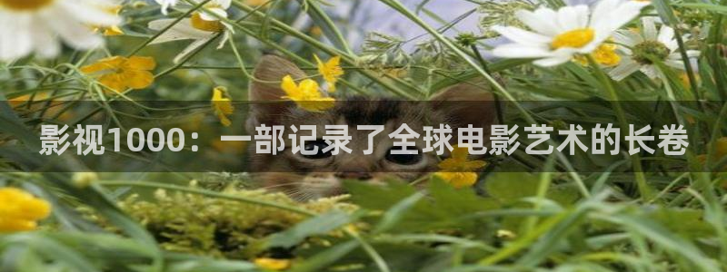 星空影院电影免费播放：影视1000：一部记录了全球电影艺术的长卷