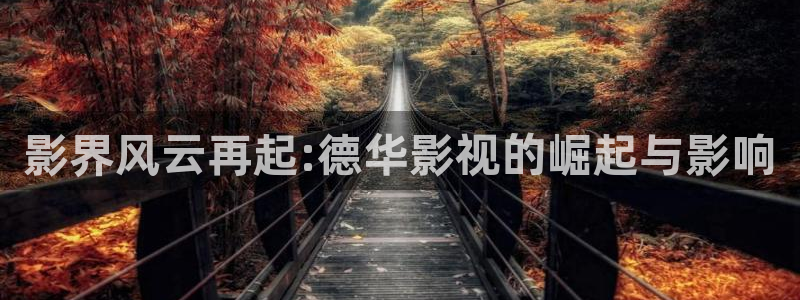 夏至未至电视剧免费观看完整版星空影院